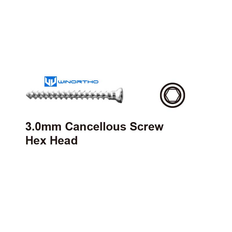 3.0mm Cancellous Screw Hex Head vet veterinary orthopedic winortho implants bone plate pet dog small animals bluesao AO