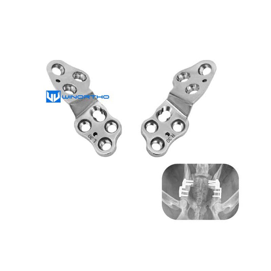 DPO TP0 Locking Plate 316LVM Stainless steel For hip dysplasia VET AO Veterinary orthopedic instrument tools animals dog pet