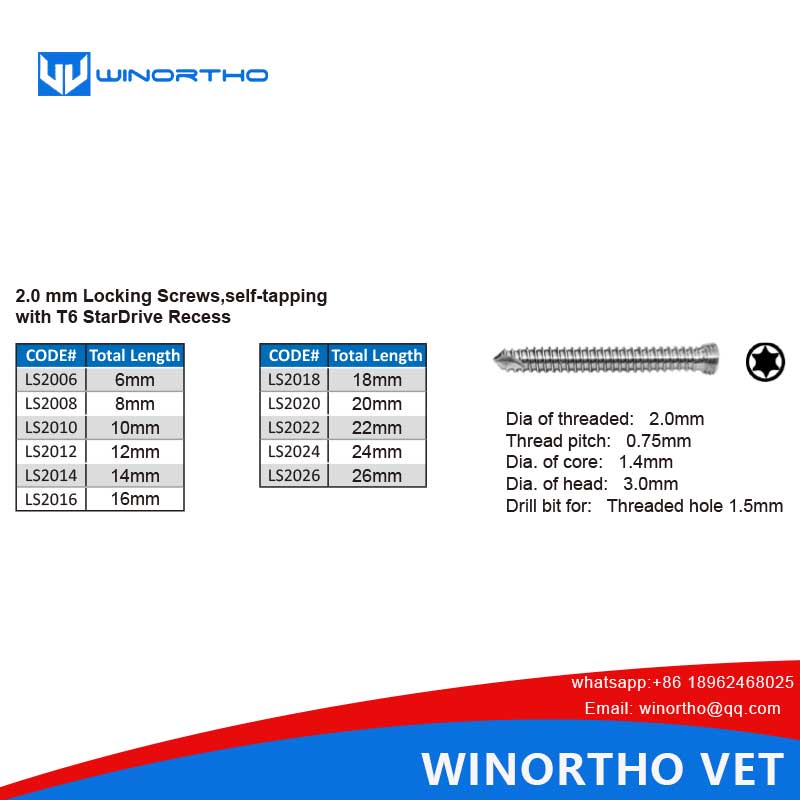 2.0mm locking screws Star Drive ao 316LVM  Stainless steel lself-tapping with T6 StarDrive Recess winortho vet veterinary orthopedic