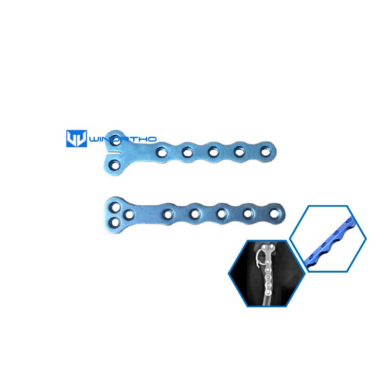ALPS Locking Plate system T VET veterinary orthopedic instruments pet animals bone plate kyon prcl winortho tools