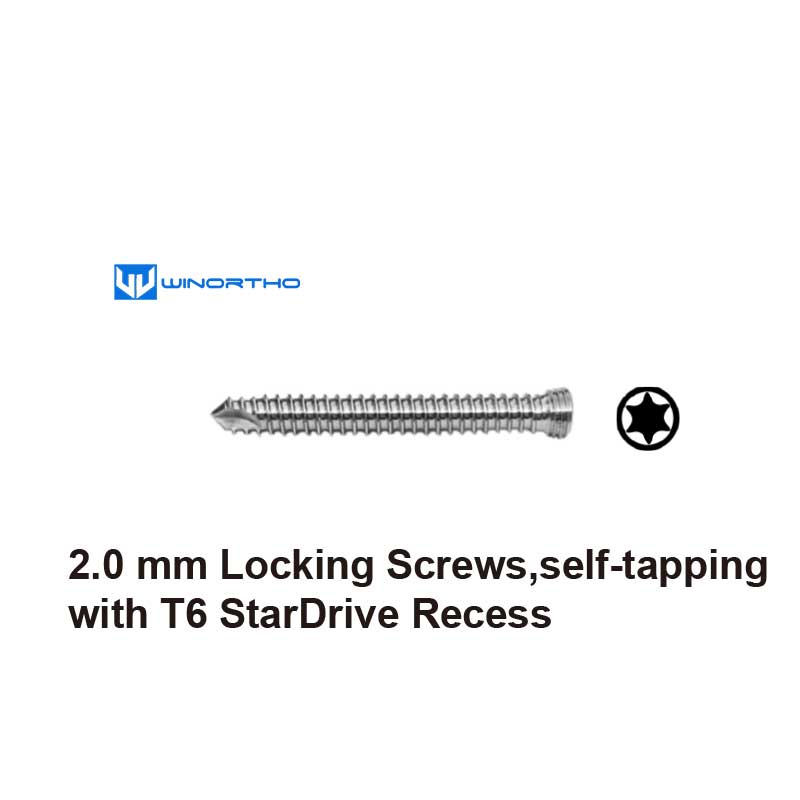 2.0mm locking screws Star Drive ao 316LVM  Stainless steel lself-tapping with T6 StarDrive Recess winortho vet veterinary orthopedic